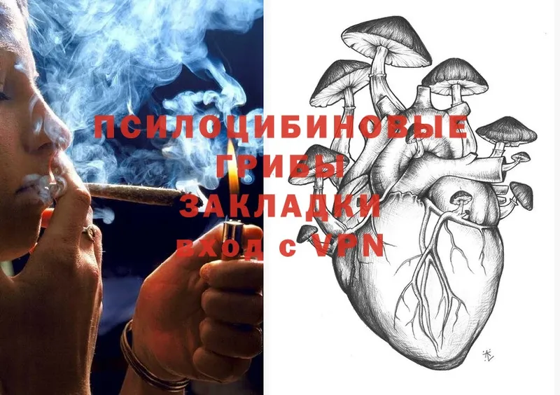 что такое наркотик  Куровское  hydra сайт  Псилоцибиновые грибы Magic Shrooms 